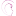 Pallua.de Logo