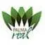Palmareal.info Favicon