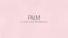 Palmluxuryhair.com Favicon