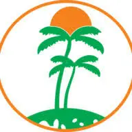 Palmtreekenya.com Favicon