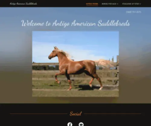 Palominosaddlebred.com(Antigo Home) Screenshot