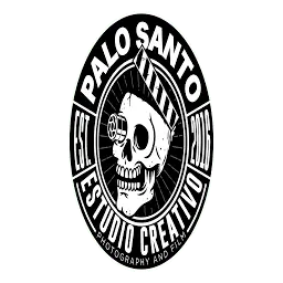 Palosantoestudio.cl Favicon