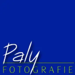 Paly.be Logo