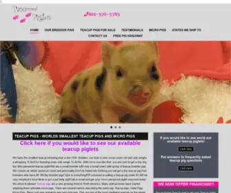 Pamperedpiglets.com(Teacup Piglets) Screenshot