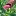 Pamstahl.com Favicon