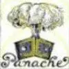 Panacherental.com Favicon