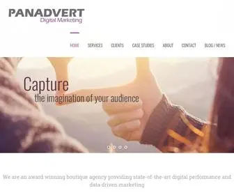 Panadvert.com(Digital Marketing & Advertising) Screenshot