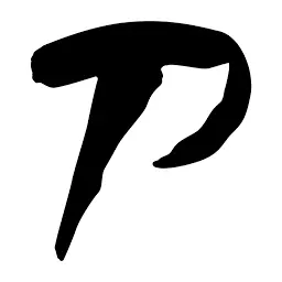 Panagora.net Logo