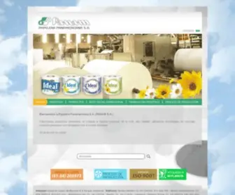 Panam.com.pe(Papelera Panamericana Arequipa) Screenshot