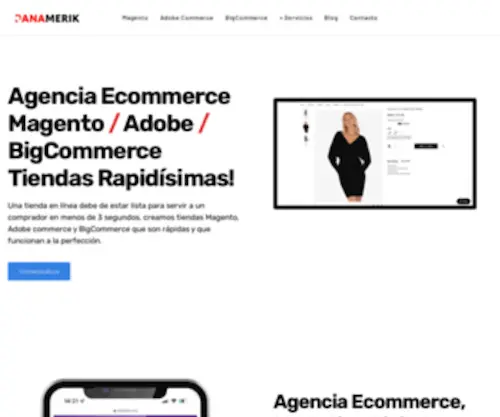 Panamerik.com(Agencia Ecommerce en México) Screenshot