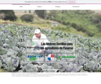 Panasem.com(Bienvenidos a Panasem S.A) Screenshot