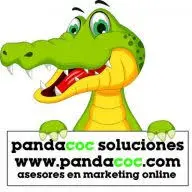 Pandacoc.com Favicon