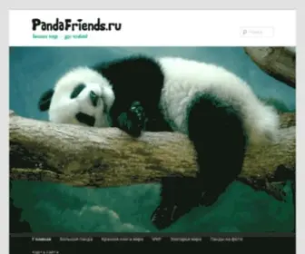 Pandafriends.ru(Обзор) Screenshot