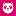 Pandariders.sg Favicon