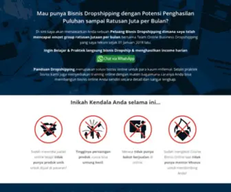 Panduandropshipping.com(Bisnis Dropshipping dengan Potensi Penghasilan Puluhan sampai Ratusan Juta per Bulan) Screenshot