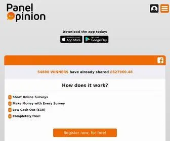 Panelopinion.co.uk(Online Surveys for Money) Screenshot