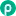 Pangash.com Favicon