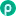 Pangash.ir Logo