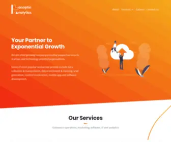 Panopticanalytics.com(The best business outsourcing company Panoptic Analytics) Screenshot