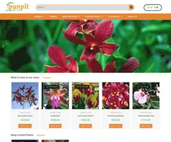 Panpitgardencenter.com(Panpit Garden Center) Screenshot