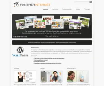 Pantherinternet.com(Panther Internet) Screenshot