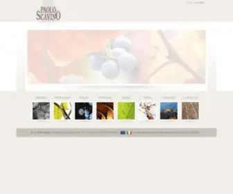 Paoloscavino.com(Castiglione Falletto (CN)) Screenshot