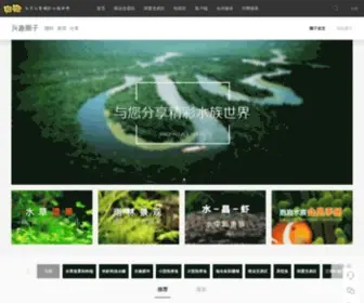 Paopaosz.com(泡泡水族APP) Screenshot