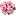 Papa-Botan.ru Favicon