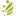 Papadim.com Favicon