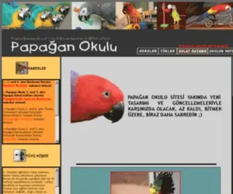 Papaganokulu.org(Yuva) Screenshot