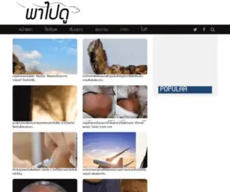 Papaidoo.com(Papaidoo) Screenshot