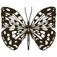 Papillonhopestreet.com Favicon