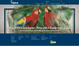 Papirus.com(Papelcartão reciclado ou fibras virgens para embalagem) Screenshot