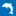 Paradiso.jp Favicon