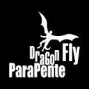 Parapentedragonfly.com Favicon