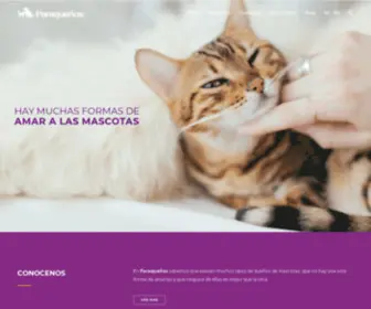 Paraquenos.com.ar(Paraqueños) Screenshot