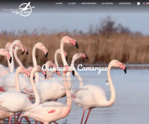 Parcornithologique.com(Oiseaux de Camargue) Screenshot