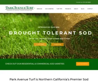 Parkavenueturf.co(Park Avenue Turf) Screenshot