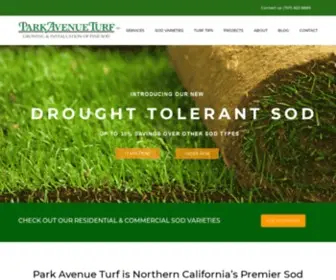 Parkavenueturf.com(Park Avenue Turf) Screenshot