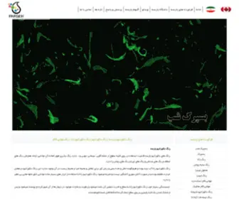 Parsehpaint.com(پارسه) Screenshot