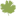 Parsley.co.za Favicon
