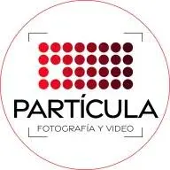 Particulaestudio.com Favicon