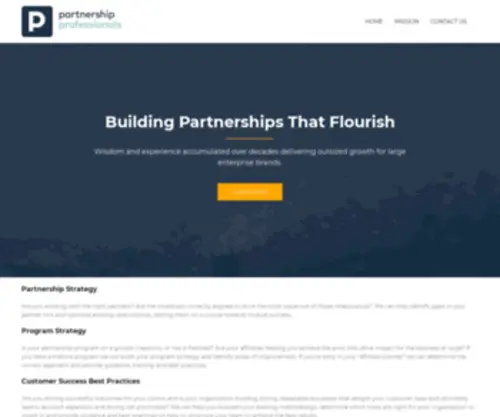 Partnershippros.com(Building partnerships that flourish) Screenshot