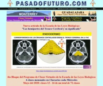 Pasadofuturo.com(Escuela Leyes Biologicas Clases Energia Piramidal Piramides) Screenshot