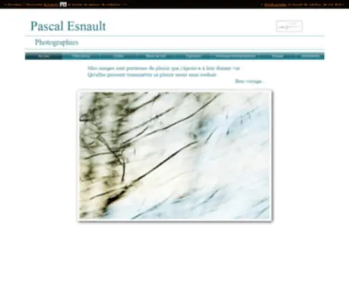 Pascalesnault.fr(Pascalesnault) Screenshot