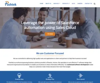 Pashtek.com(Salesforce Consulting Company) Screenshot
