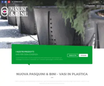 Pasquiniebini.com(Pasquini & Bini) Screenshot