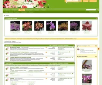 Passiflora.club(Passiflora club) Screenshot