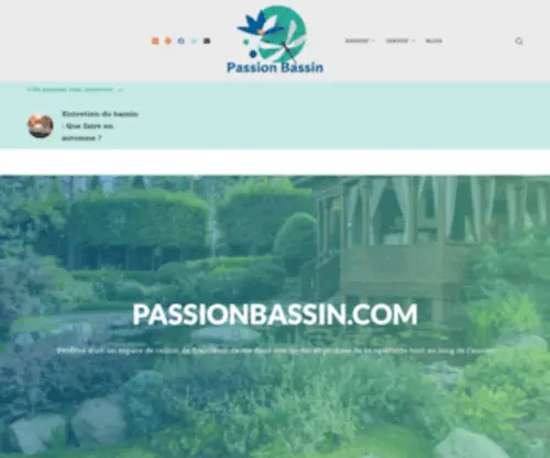 Passionbassin.com(Bassin de jardin) Screenshot