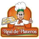 Pastesrealdeplateros.mx Favicon